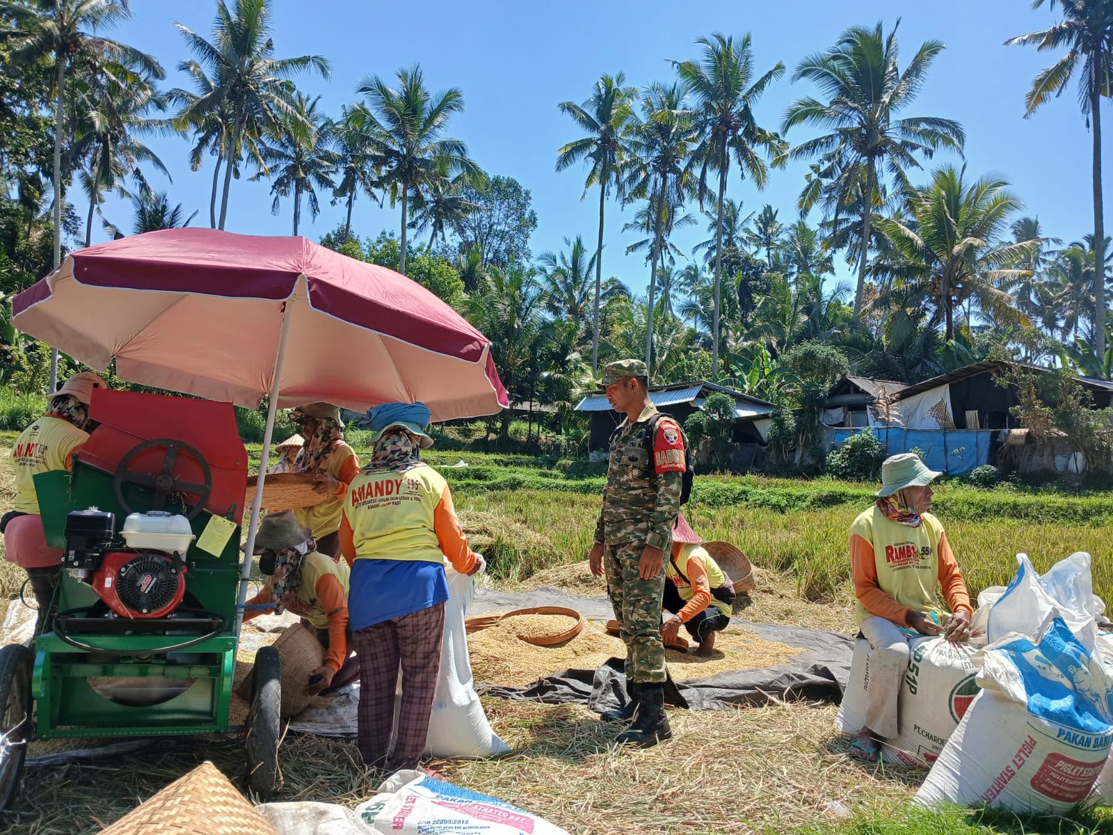 BABINSA BEBALANG DAMPINGI PETANI