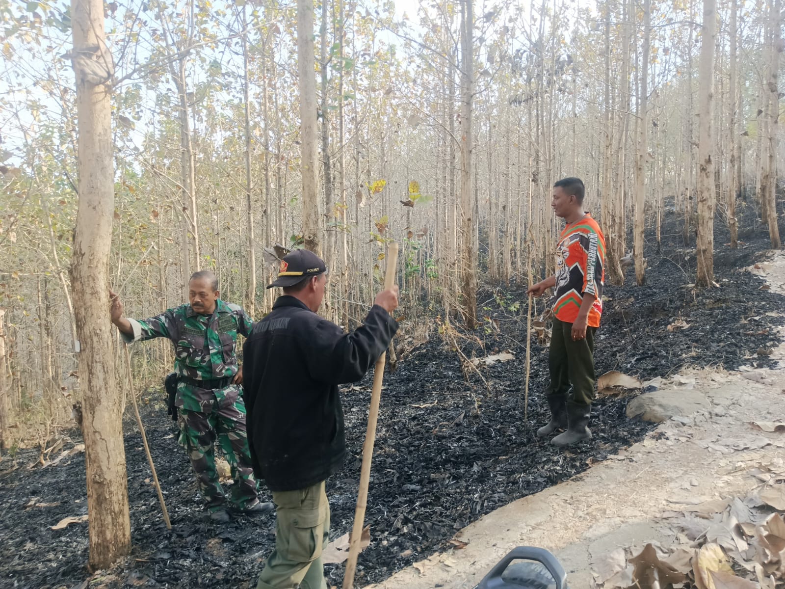Babinsa Bersama Perhutani Padamkan Api