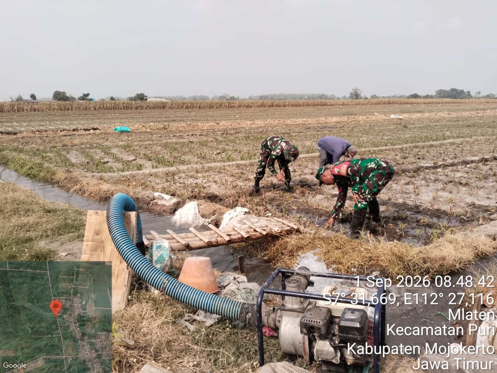 Perkuat Ketahanan Pangan Di Mojokerto