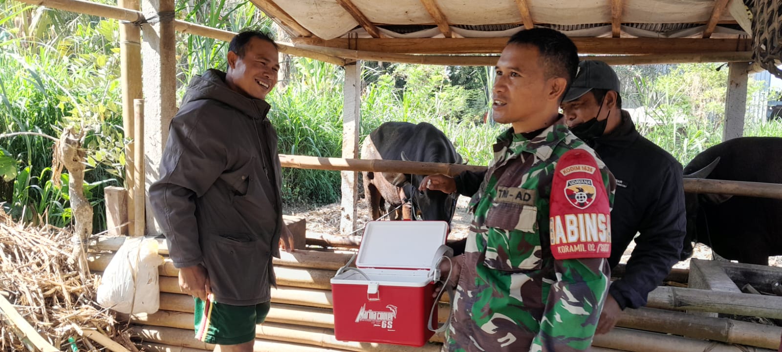 BABINSA PENGLUMBARAN PANTAU PELAKSANAAN