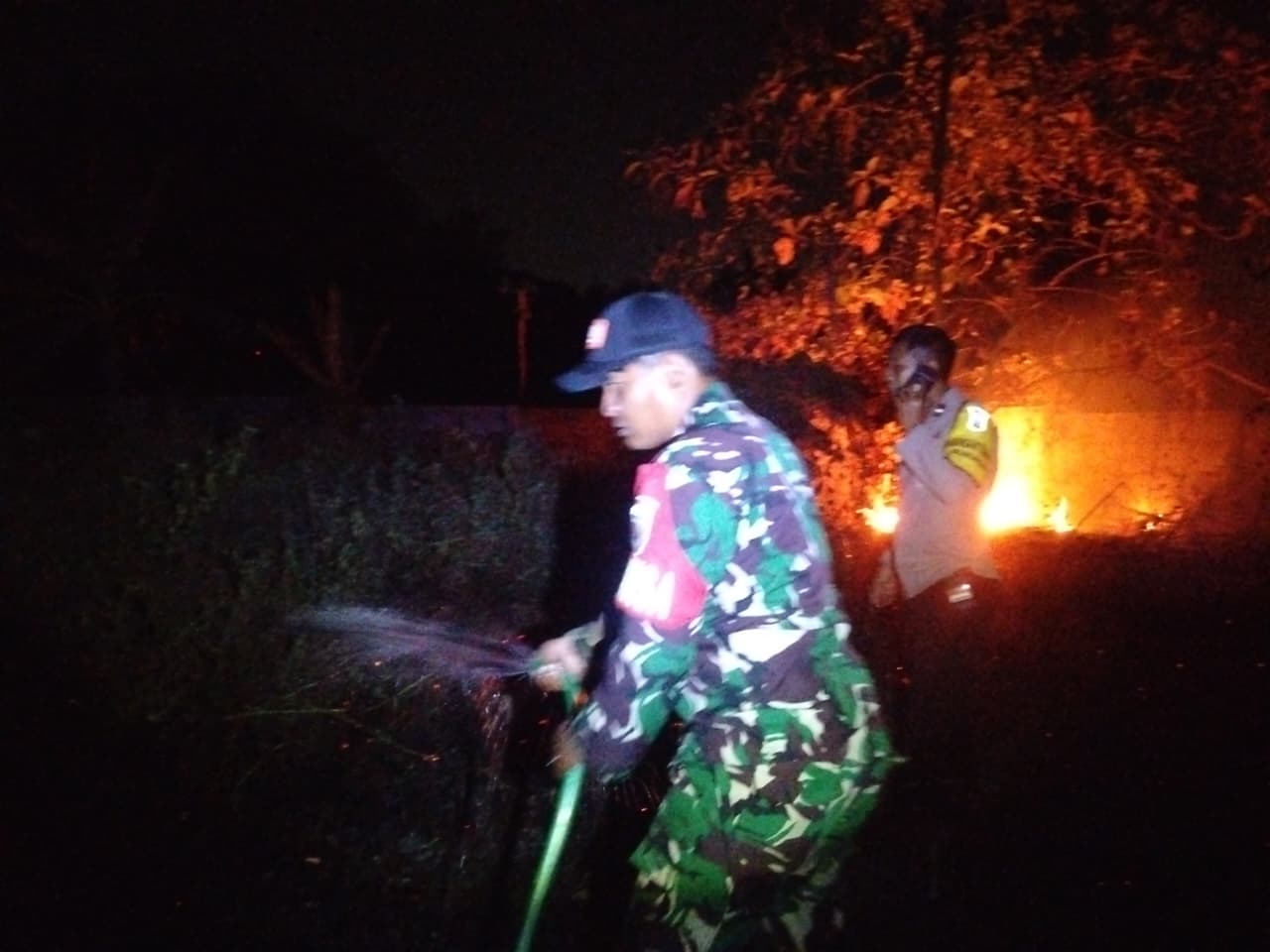 Kobaran Api Di Tengah Lahan Kering
