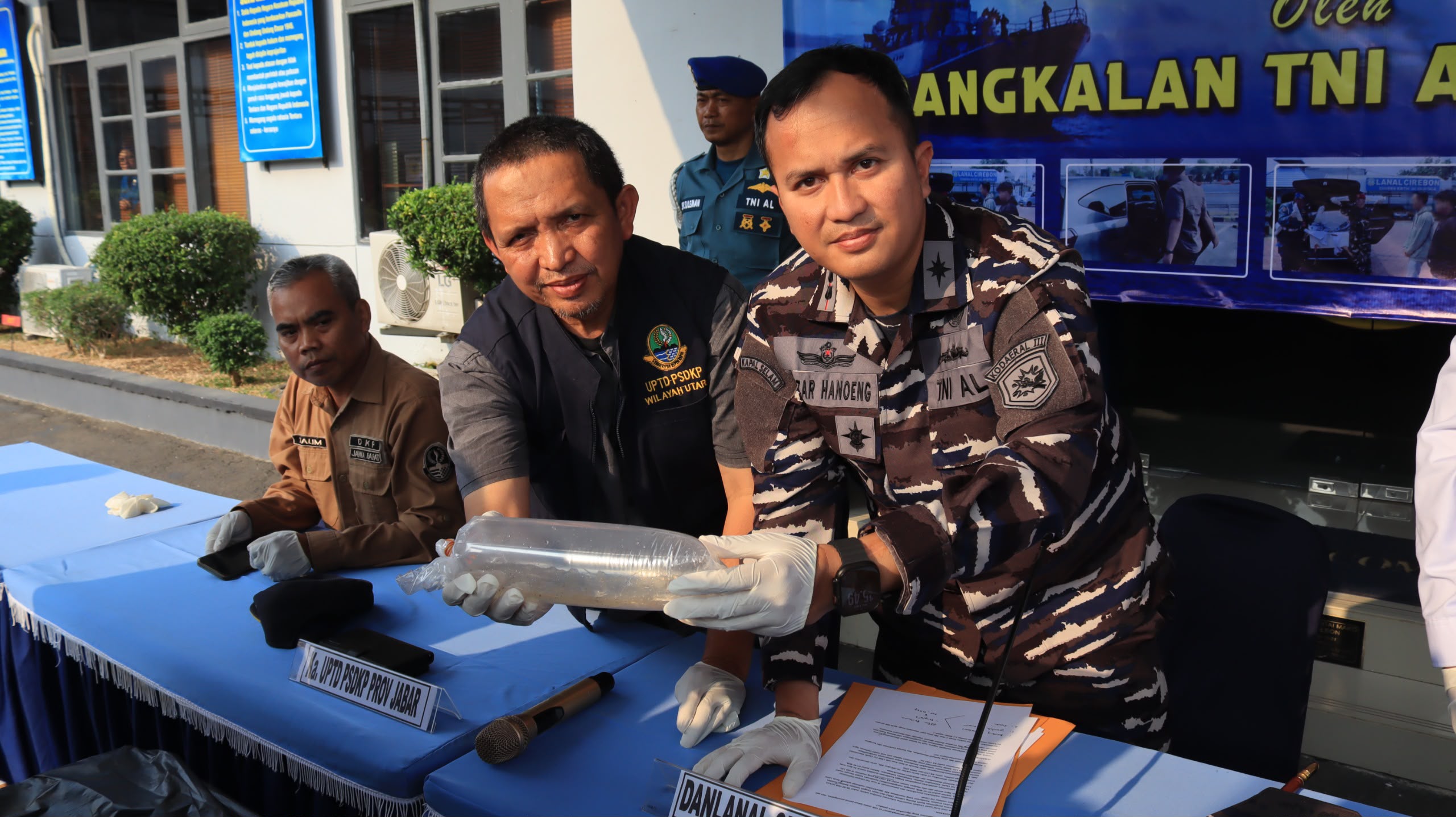 TNI AL GAGALKAN PENYELUNDUPAN 75.435 EKOR BENIH BENING LOBSTER
